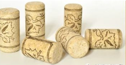 圖片.png 圖片.png