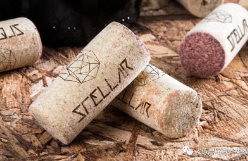 圖片.png 圖片.png